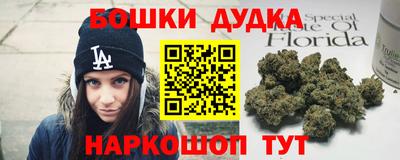 прущие грибы Кингисепп