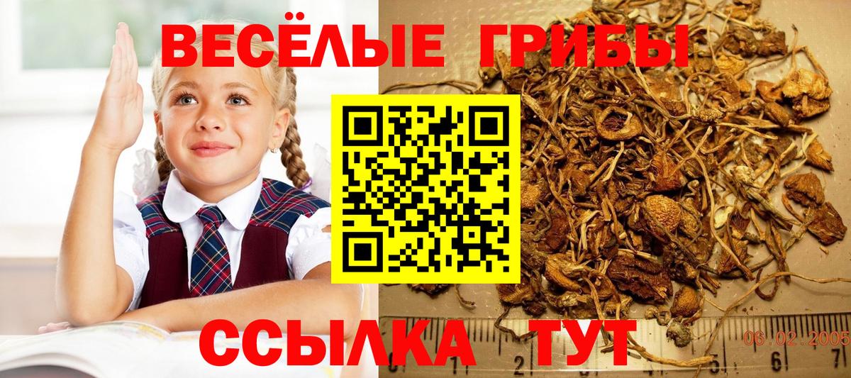 Псилоцибиновые грибы MAGIC MUSHROOMS Дагестанские Огни