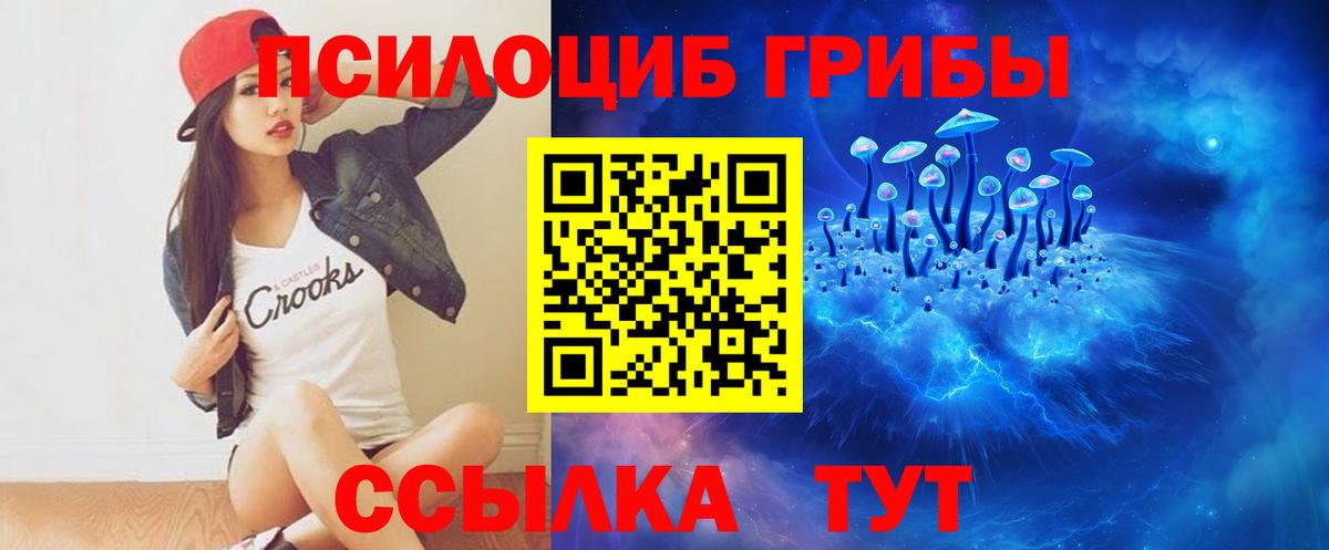 где продают   Псилоцибиновые грибы Cubensis  Вход с VPN  Псилоцибиновые грибы ЛСД  Дагестанские Огни 